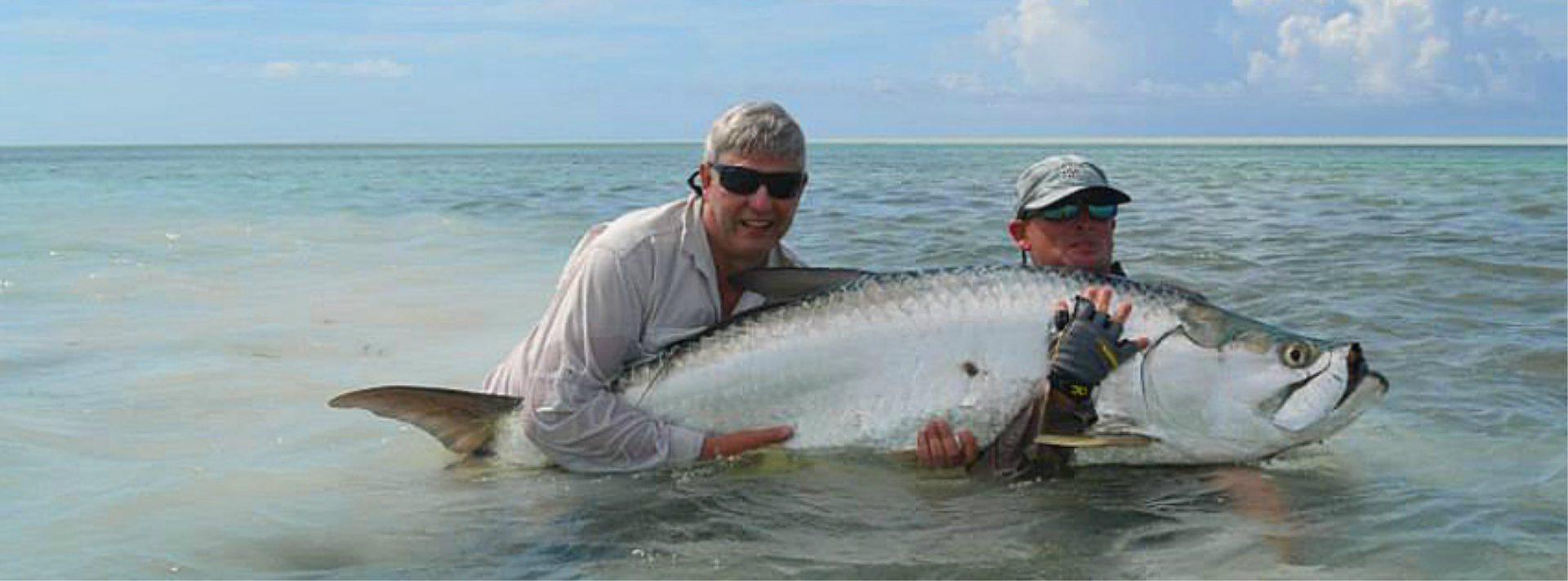Abel-Tarpon1.12